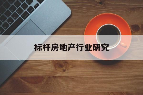 仙桃市标杆房地产行业研究(房地产领域的标杆人物)