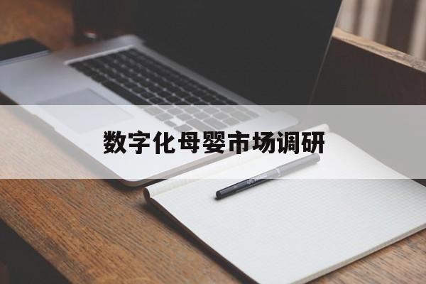 仙桃市数字化母婴市场调研(数字化母婴市场调研报告)